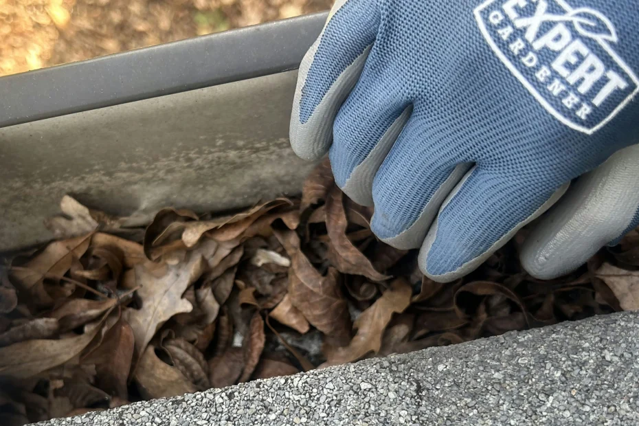 Gutter Cleaning Folly Beach