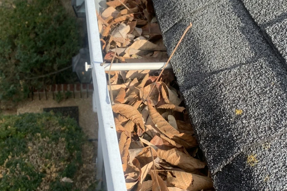 Gutter Cleaning Folly Beach