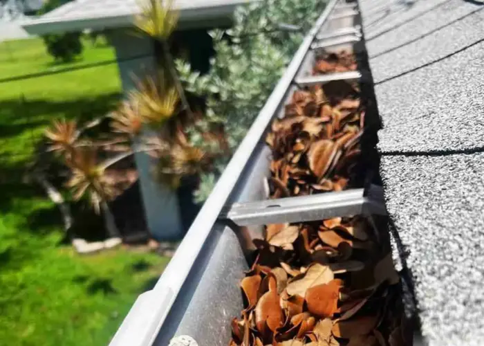 Gutter Cleaning Folly Beach home page